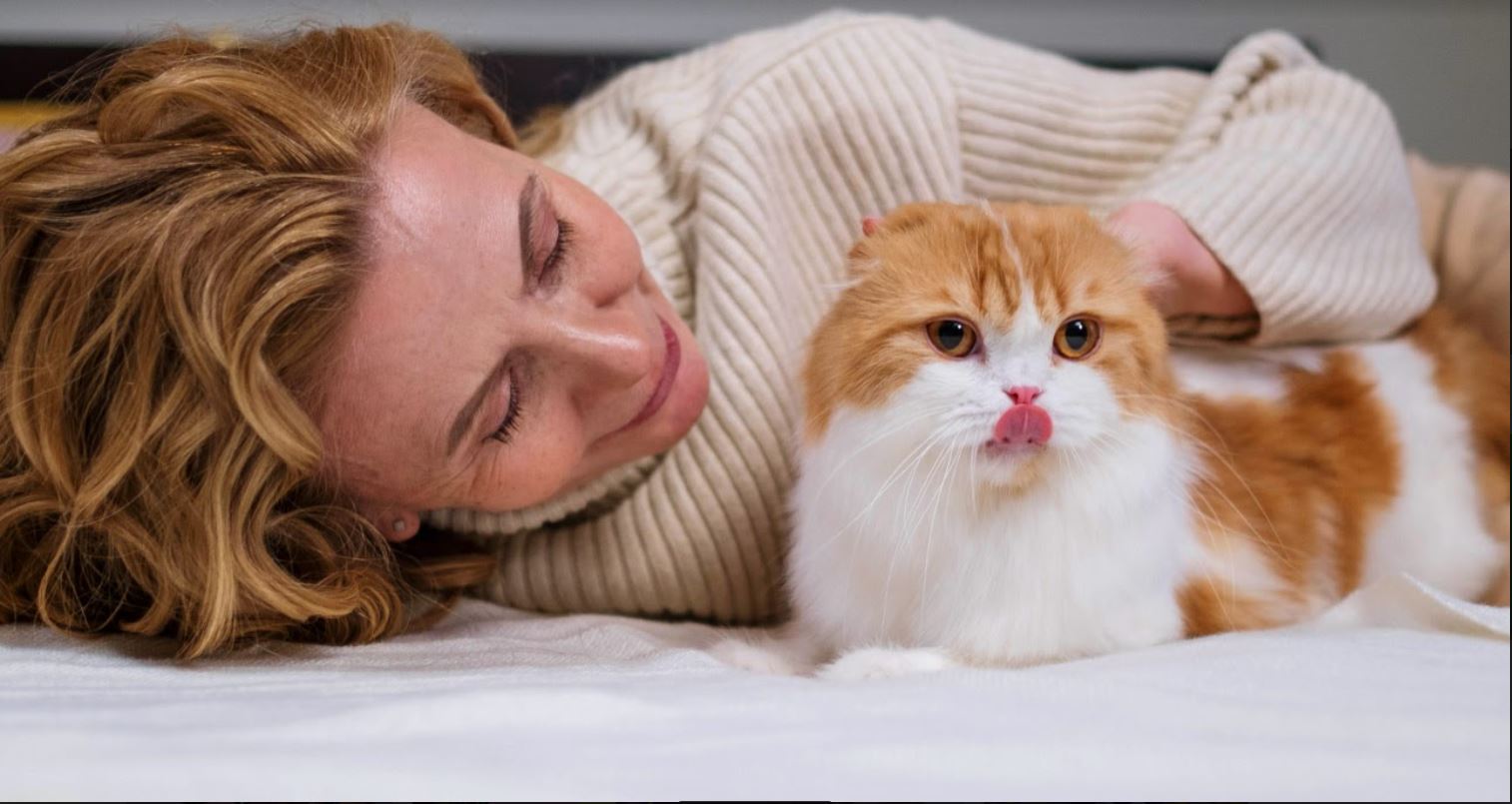 Benefits of Being a Cat Parent