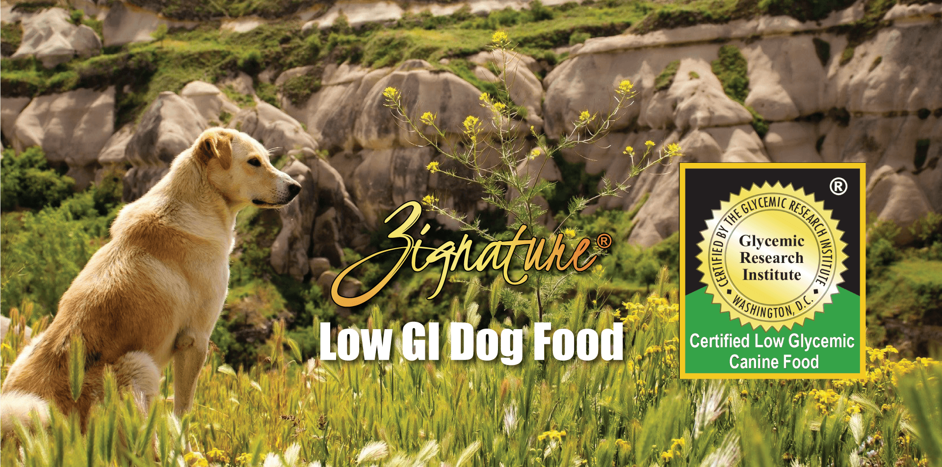 low glycemic dog food